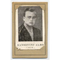 SANSOVINI ALBO